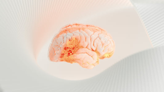 What Are Nootropics? A Beginner's Guide to Brain Supplements